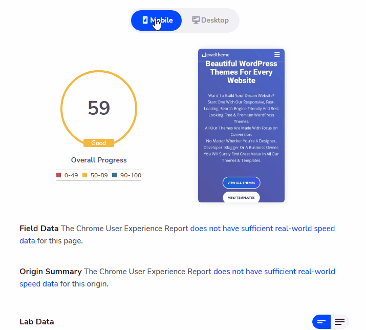 Google Pagespeed Full Report