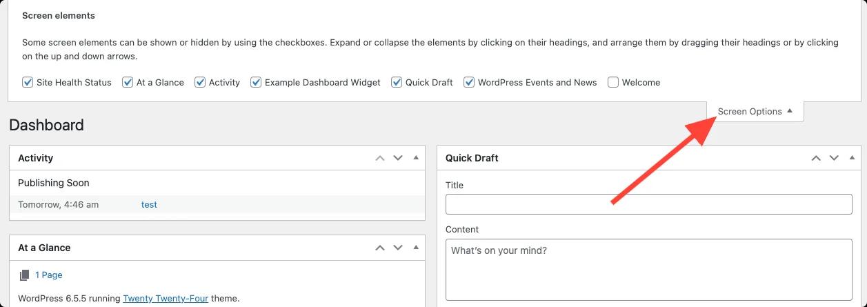WordPress Dashboard Screen Options