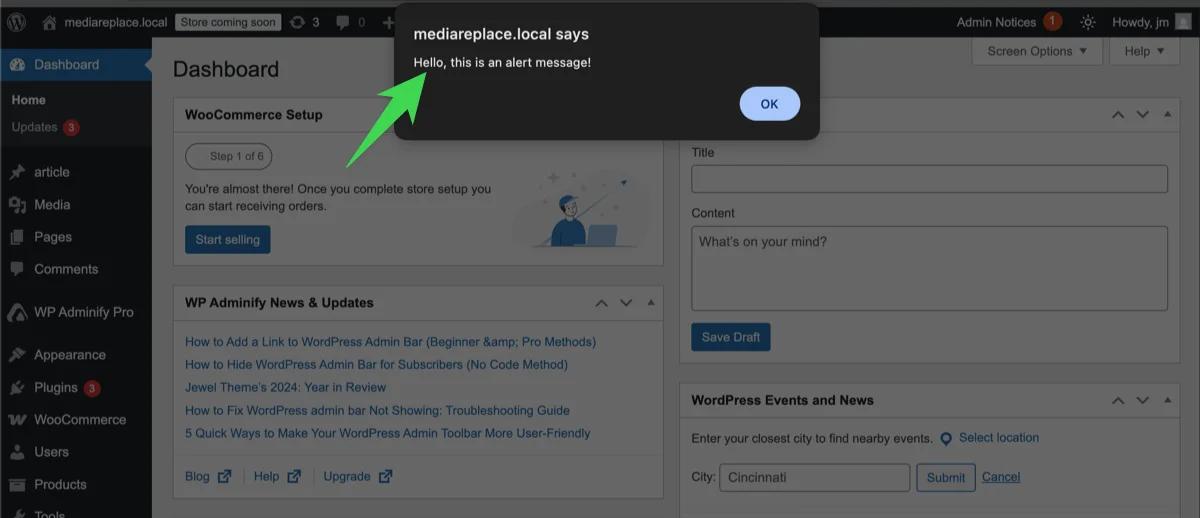 print a demo alert with custom JS in WordPress Dashboard