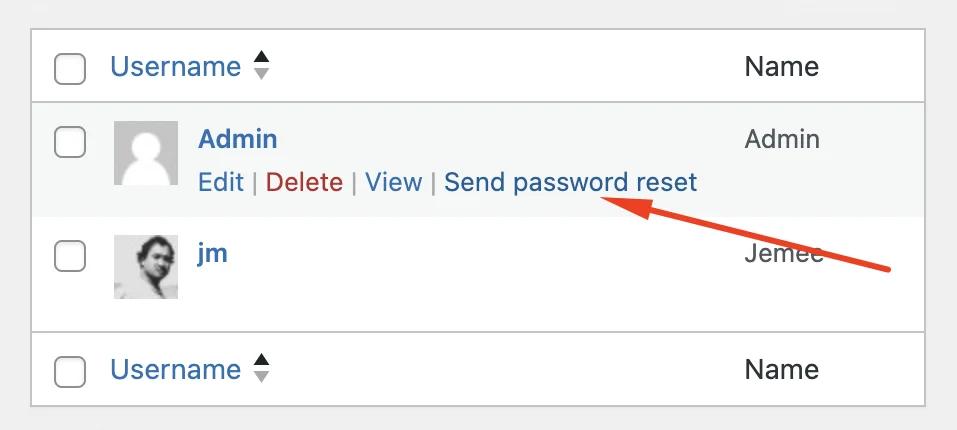 sent password reset email notificaiton directly to any user