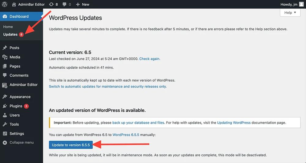 WordPress Core Updates in one click