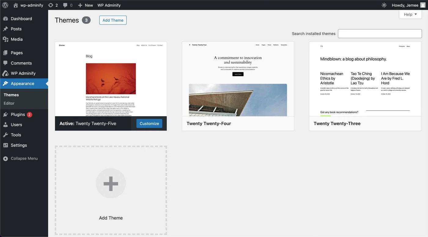 Themes option panel in WordPress