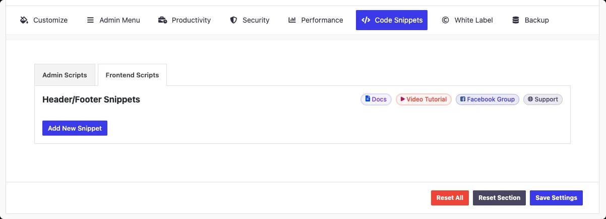 Frontend scripts for custom css and js