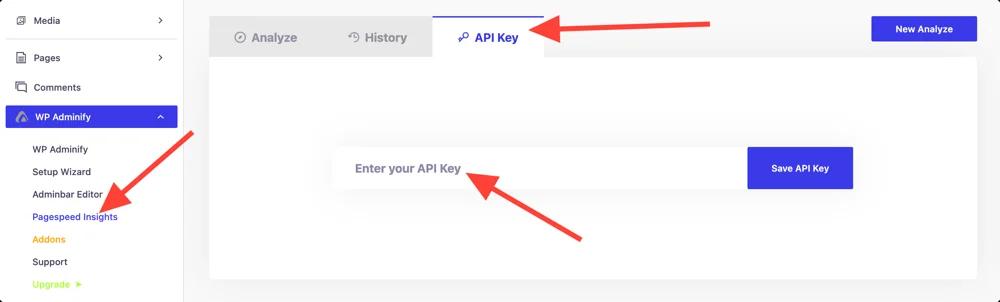 Add Google Pagespeed insights API Key in WP Adminify