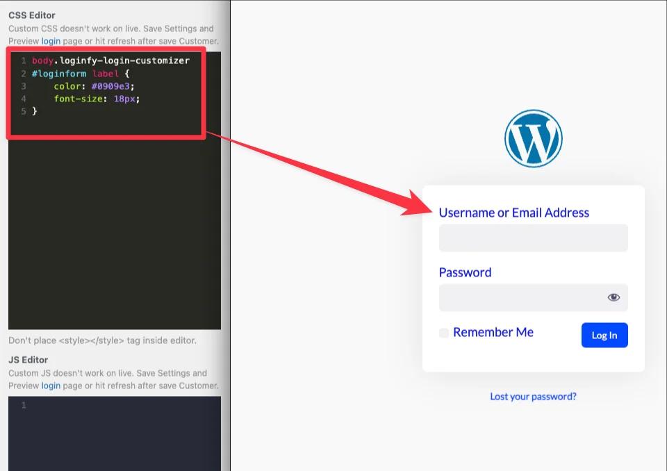 Loginfy Custom CSS and JS for login page