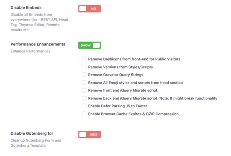 performance optimization option by WP Adminify