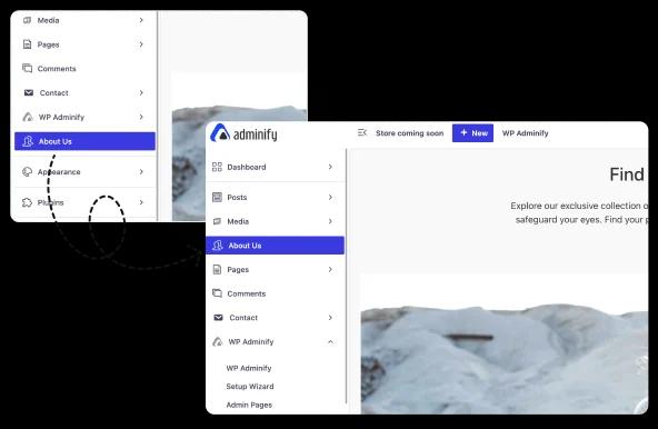 Insert Anywhere in Admin Menu
