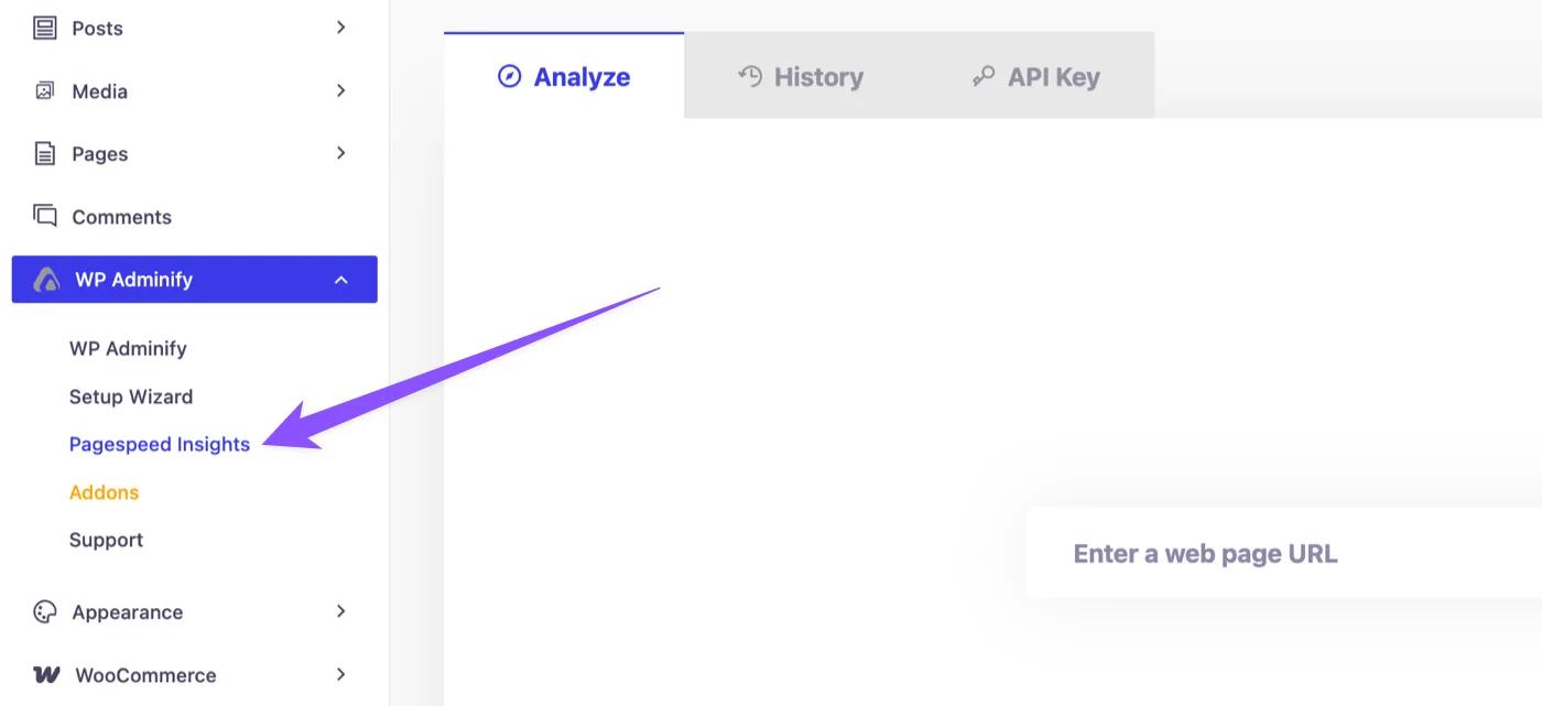 Access Google Pagespeed Inisights option panel