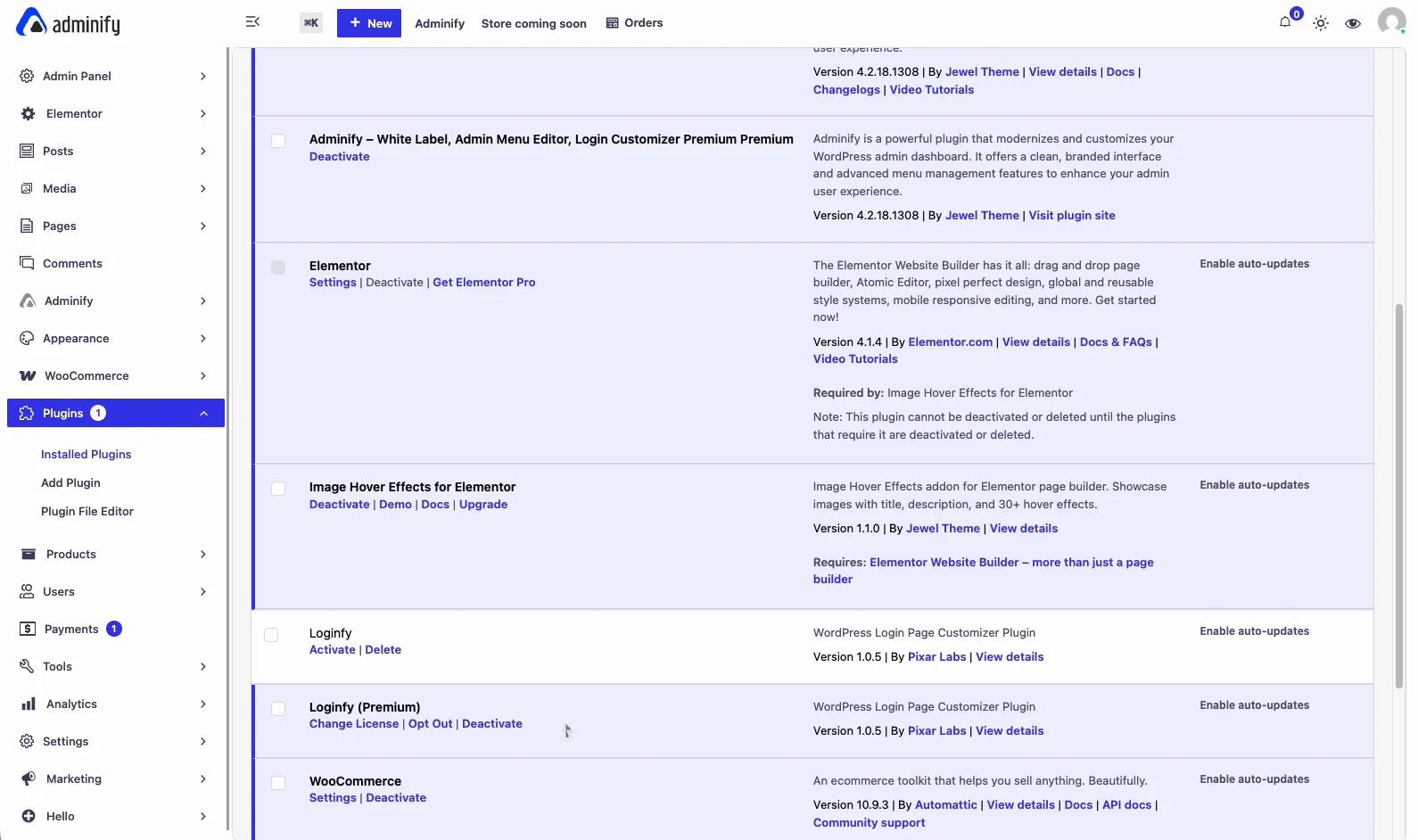 WordPress plugins screen showing WP Adminify and Loginfy both installed and active