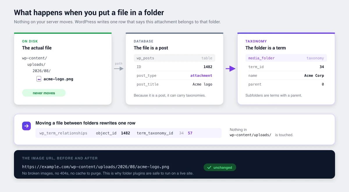 Diagram showing how WordPress media folders map attachments to taxonomy terms: the file stays in wp-content/uploads, its record is a row in wp_posts, and the folder is a term linked through wp_term_relationships
